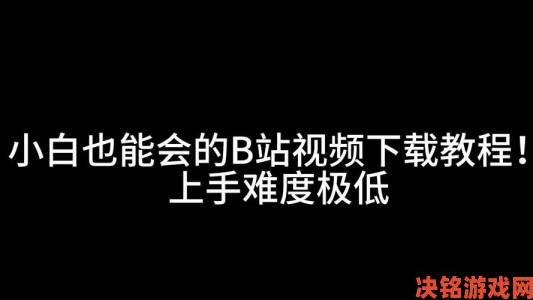 B站怎么下载视频资深用户分享隐藏功能小白也能快速上手