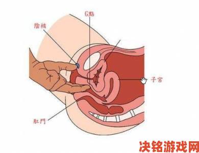 国产做受高潮动漫节奏掌控深度解析从铺垫到爆发全流程教学