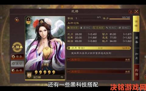 《三国志13》恢复系战法视频讲解