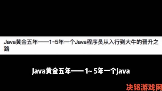 新知|javaparserhd高潮实战应用程序员直呼这才是效率巅峰