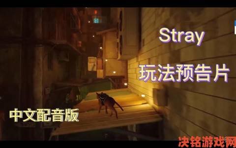 Stray游戏售价及价格详情介绍