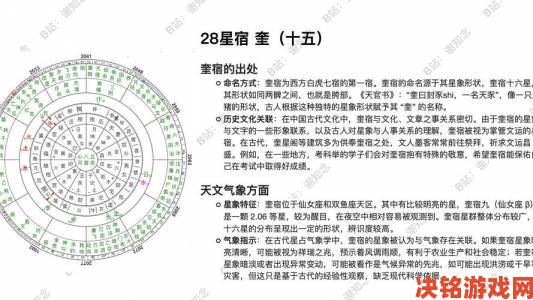 息壤青龙星宿代号加点方案全解