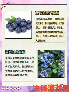 蓝莓视频新手必看攻略从注册到高级功能全解析