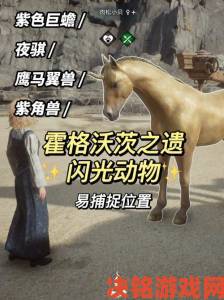 霍格沃茨之遗中恶犬毛皮的位置在哪