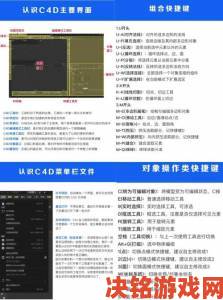 iwara视频上传全攻略从新手到高手的详细步骤解析