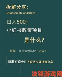 丰丝韵母沈蓉最经典的一本书核心观点拆解与实战应用指南