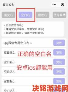 王者荣耀名字空白代码最新教程一键生成酷炫空白游戏名