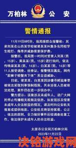 学霸坐在校霸的鸡上背单词真相浮出水面：十年校园暴力调查纪实