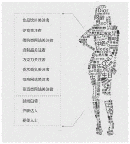 深度调查ip138用户画像：谁在频繁使用电话号码查询功能？