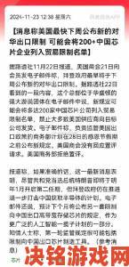 欧美多人安全漏洞频现专家呼吁建立全球监管机制