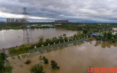 新视|国产一区二区免费资源泛滥暴露行业监管漏洞