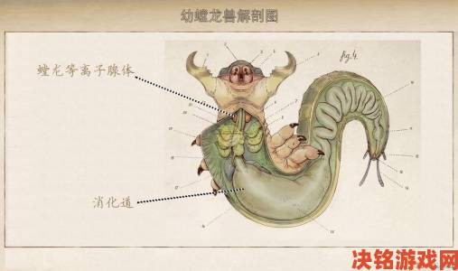 《天外世界》翡翠鸟星系生物图鉴改写为：《天外世界：翡翠鸟星系生物图鉴》