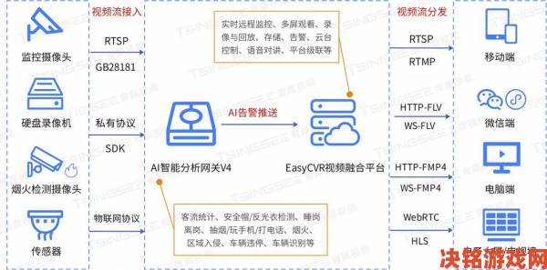 ip查询终极指南利用免费工具实现高效数据分析