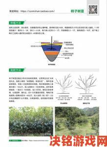 小嫩苞太紧了进不去成农业难题多省启动新型育苗技术试点