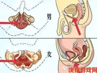 女性健康科普女人下边被舔全过程免费行为可能带来的生理影响分析