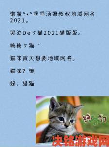 猫咪最新地域网名3336数据出炉南方铲屎官取名偏好大揭秘