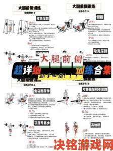 大腿中间一张嘴顺口溜训练秘籍新手必看的科学练习与进阶指南