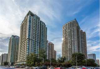 重庆压缩毛巾多少钱