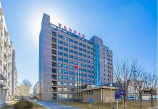 湖北碳化木生产商