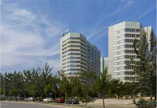 本地管理服务顾问管理方法